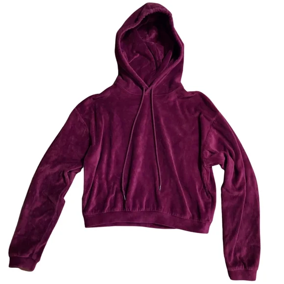 Hot Topic Burgundy Velour Girls Crop Hoodie - Picture 9 of 11